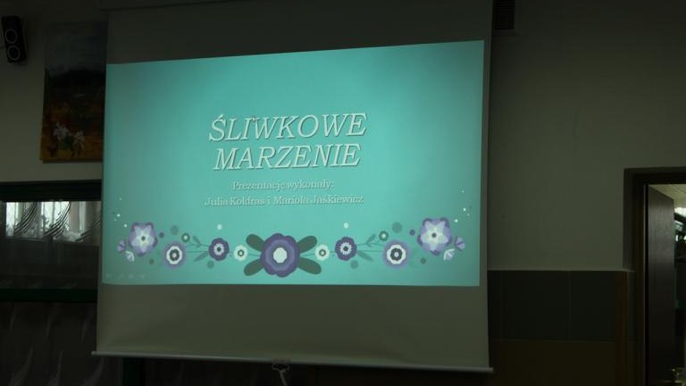 SP-T-goborze-Certyfikat-liwkowej-Szko-y-19-.JPG