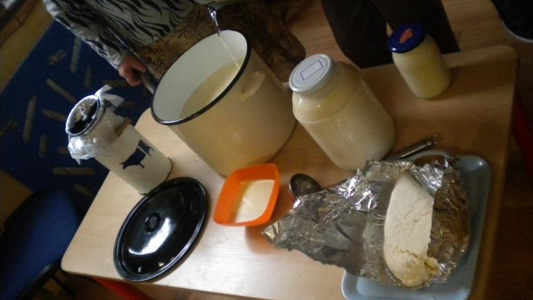 Projekt-liwkowe-Przedszkole-2018-3-.JPG