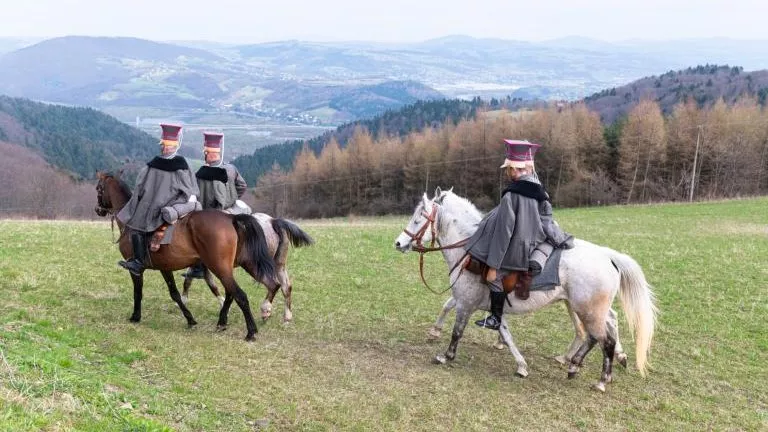 Dzien Przyjażni Polsko -Węgierskiej (38).jpg