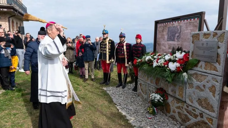 Dzien Przyjażni Polsko -Węgierskiej (50).jpg