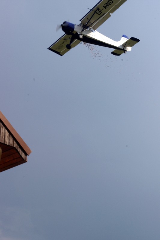 PIKNIK RODZINNY w Łososinie Dolnej 26.05.2019r.  (162).JPG