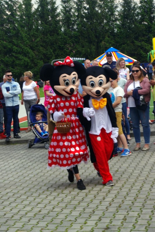 PIKNIK RODZINNY w Łososinie Dolnej 26.05.2019r.  (74).JPG