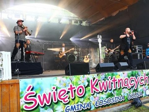 Stoiska handlowe - Święto Kwitnących Sadów