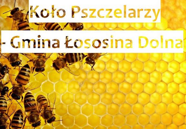 Refundacja kosztów do zakupu sprzętu pszczelarskiego