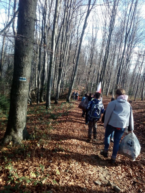 101 szczytów Gmina Łososina Dolna 2019 (16).jpg
