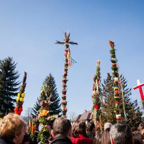 Niech nasze domy zakwitną palmami!