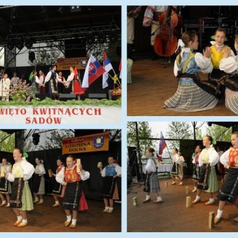 XVII Święto Kwitnących Sadów 2010