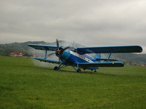 XVI Święto Kwitnących Sadów 2009