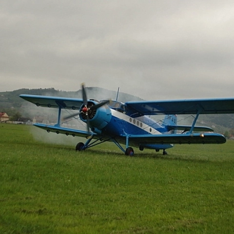 XVI Święto Kwitnących Sadów 2009