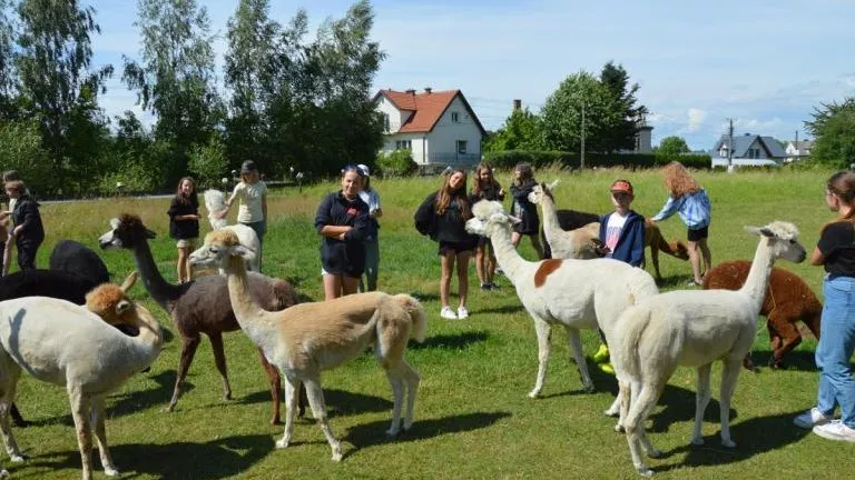 Kolonia z Łubianki w Łososinie Dolnej 2023 (32).JPG